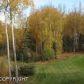 22378 Shadowy Spruce Drive, Chugiak, AK 99567 ID:1539624