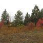 45 Garden Lane, Mccall, ID 83638 ID:1076161