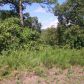 Lots 1 & 5 Mc 8001, Yellville, AR 72687 ID:1161222