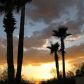 3160 E Crest Shadows, Tucson, AZ 85718 ID:2213079