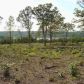 Lot 6 Harbor Drive, Yellville, AR 72687 ID:1161260