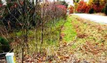 Lot 10 Oak Summit Drive Dr Mountain Home, AR 72653