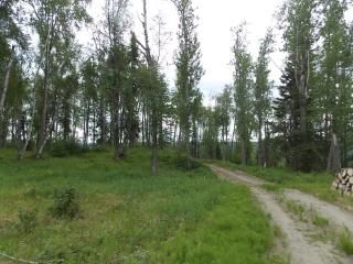 L42 Authentic Road, Soldotna, AK 99669