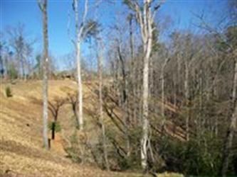 Cliffs Mtn Park Sec 1 Lot 56 (Apn#, Marietta, SC 29661