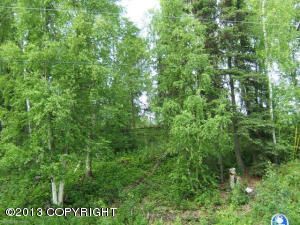 6069 S Shandra Circle, Big Lake, AK 99652