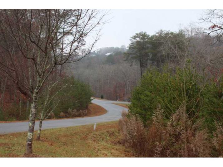 0 Crown Mountain Way Lot 18, Dahlonega, GA 30533