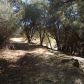 20453 Pine Mountain Drive, Groveland, CA 95321 ID:3827095