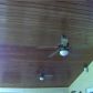 3094 PERRIWINKLE CR, Fort Lauderdale, FL 33328 ID:4521021