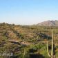 40204 N BRANGUS Road, Scottsdale, AZ 85262 ID:1654230