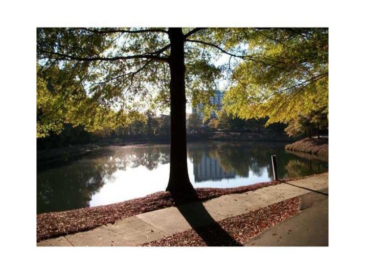 Unit A402 - 1800 Clairmont Lake, Decatur, GA 30033