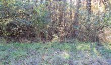 Lot 36 Althea Loop Alexander City, AL 35010