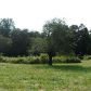 2139 Mill Creek Road, Dahlonega, GA 30533 ID:1399550