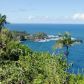 36-1070 LAUPAHOEHOE POINT RD, Laupahoehoe, HI 96764 ID:1441249