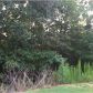 227 Amaranth Court, Ball Ground, GA 30107 ID:2445409