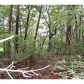 6 Outback Ridge Trail, Jasper, GA 30143 ID:2459785