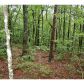 6 Outback Ridge Trail, Jasper, GA 30143 ID:2459787