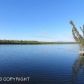 350 N Beaver Lodge Road, Big Lake, AK 99652 ID:1593100