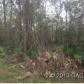 1624 SE 6th Avenue, Gainesville, FL 32641 ID:4029925