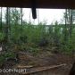 5280 S Horseshoe Lake, Big Lake, AK 99652 ID:3368901