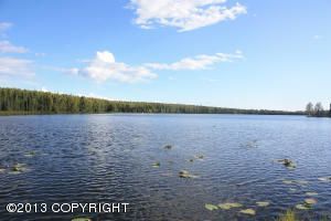 L1-5 W Cheri Lake Drive, Big Lake, AK 99652