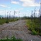 1161 S Rogers Court, Big Lake, AK 99652 ID:1536614