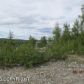 9248 S Big Lake Road, Big Lake, AK 99652 ID:1555331