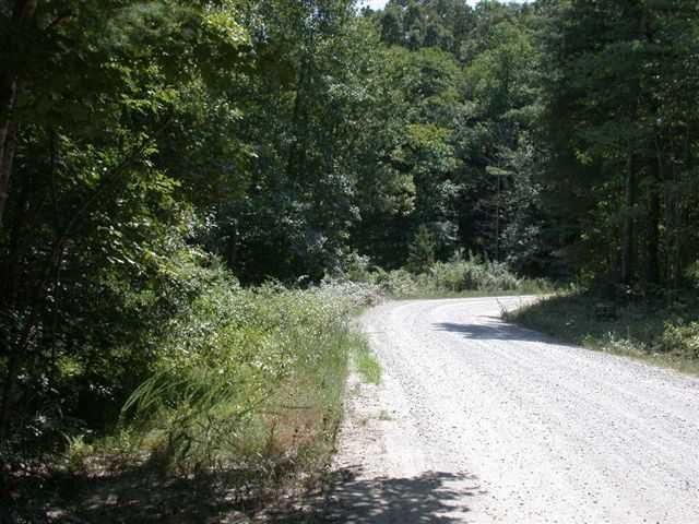 11 Peters Knob Road, Morganton, GA 30560