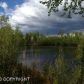 12905 W Birch Road, Big Lake, AK 99652 ID:3368926