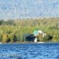 14732 W Shoreline Court, Big Lake, AK 99652 ID:3368934