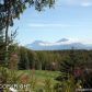 7220 S Frontier Drive, Big Lake, AK 99652 ID:1593918