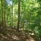 0 Misty Hollow, Dahlonega, GA 30533 ID:2454876