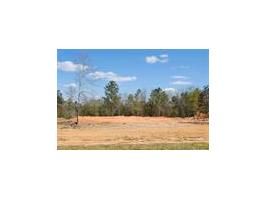 Lot 13 County Road 539, Enterprise, AL 36330