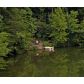 0 High Meadow Lakes, Clarkesville, GA 30523 ID:3447718