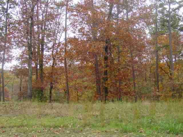 Lot 67 Lake Forest Shores Terr, Hot Springs National Park, AR 71913