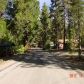 25150 Marion Ridge Drive, Idyllwild, CA 92549 ID:86149