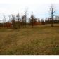 0 County Road 102, Cedar Bluff, AL 35959 ID:4528953