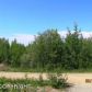 15860 W Wilma Drive, Big Lake, AK 99652 ID:1536912