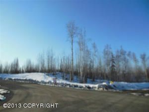 B014 Loon Cove, Big Lake, AK 99652