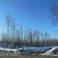 B014 Loon Cove, Big Lake, AK 99652 ID:1536621