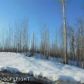 B014 Loon Cove, Big Lake, AK 99652 ID:1536622