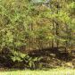 75 Cove Creek Rd, Florence, AL 35634 ID:2207185