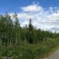 14195 W Cozy Ridge Road, Big Lake, AK 99652 ID:2985046