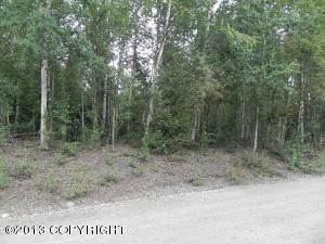 14736 W Rocky Lake Drive, Big Lake, AK 99652