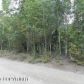 14736 W Rocky Lake Drive, Big Lake, AK 99652 ID:3137814