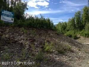 4327 S Burma Road, Big Lake, AK 99652