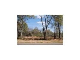 Lot 17 County Road 539, Enterprise, AL 36330