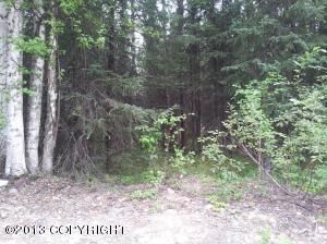 12119 W Hidden Drive, Big Lake, AK 99652