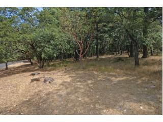 1450 White Oak Drive, Santa Rosa, CA 95409