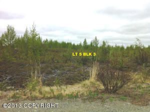 15057 W Drowsy Drive, Big Lake, AK 99652