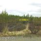 15057 W Drowsy Drive, Big Lake, AK 99652 ID:2984122